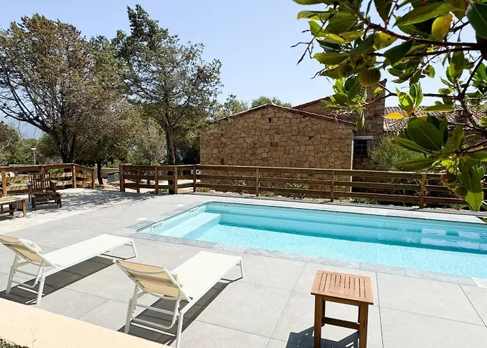 Naomi Piscine A 100 M De La Villa *